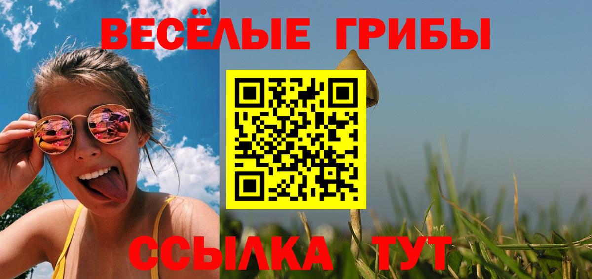 Галлюциногенные грибы Psilocybine cubensis  Вход с VPN  Можга 